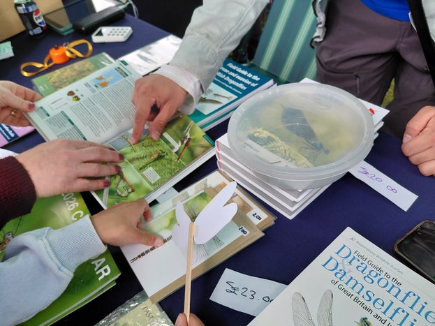 Nature Weekend 2026 - learning about dragonflies